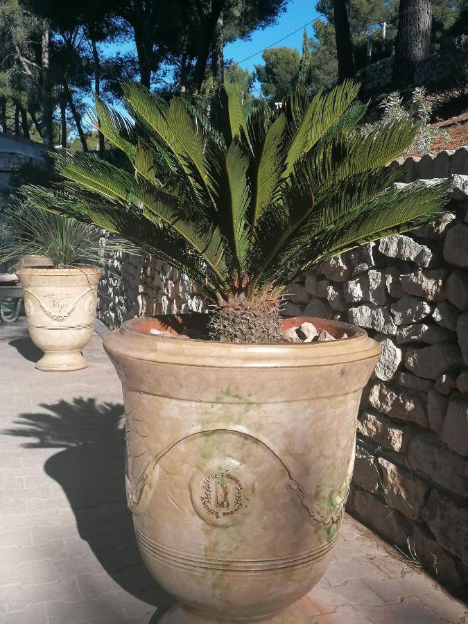 Des Roches à Casa de hóspedes Velaux