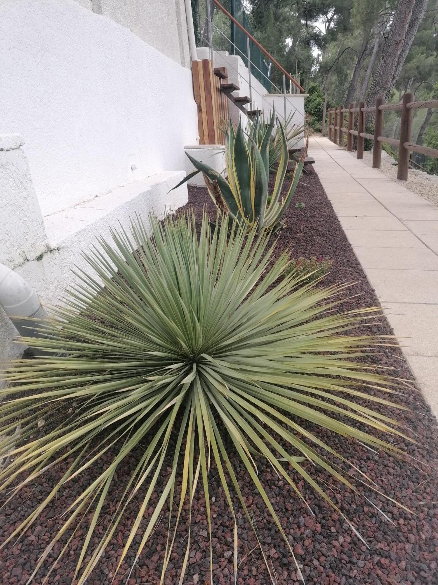 Des Roches à Casa de hóspedes 5*