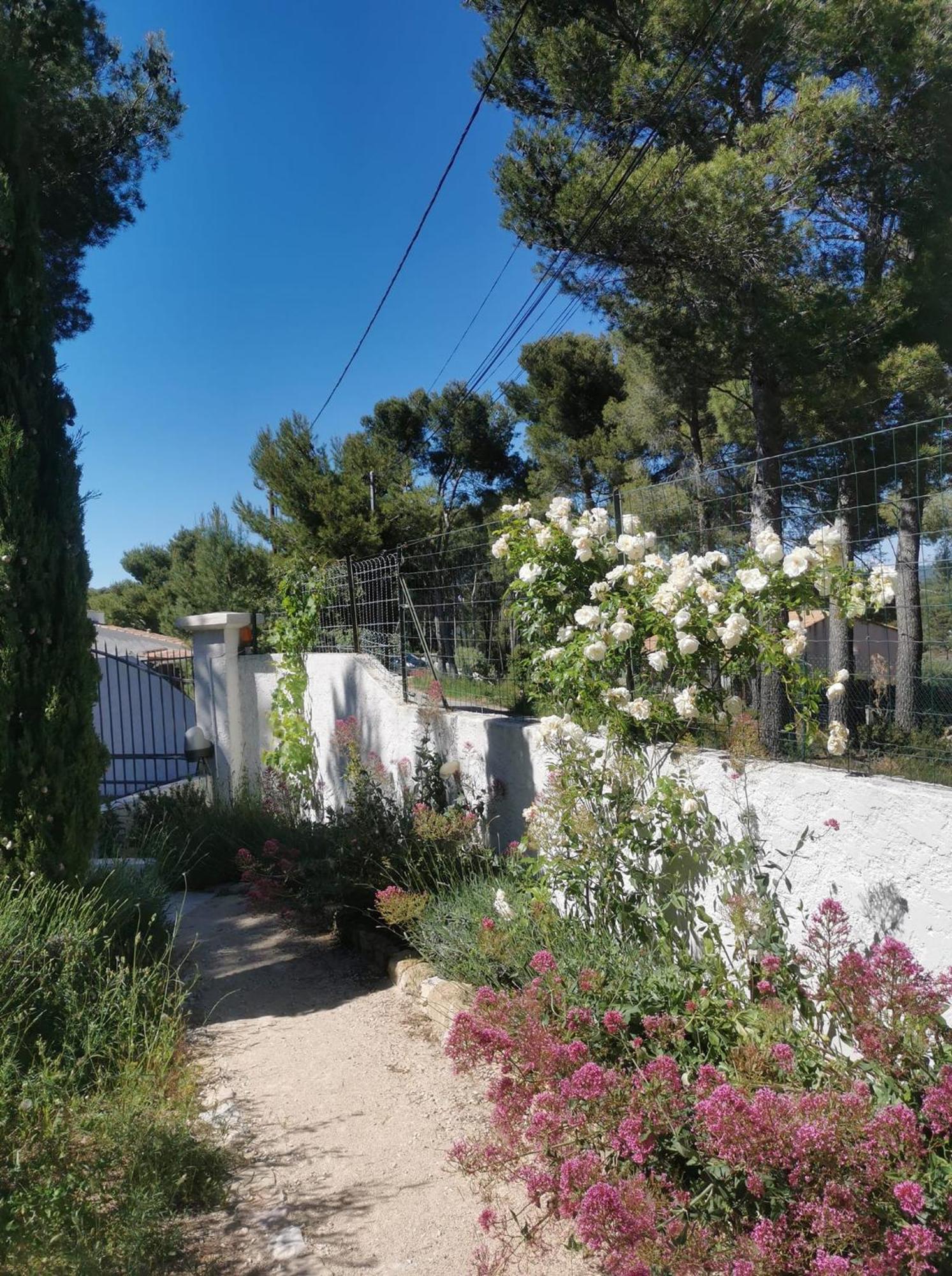 Des Roches A Guest house
